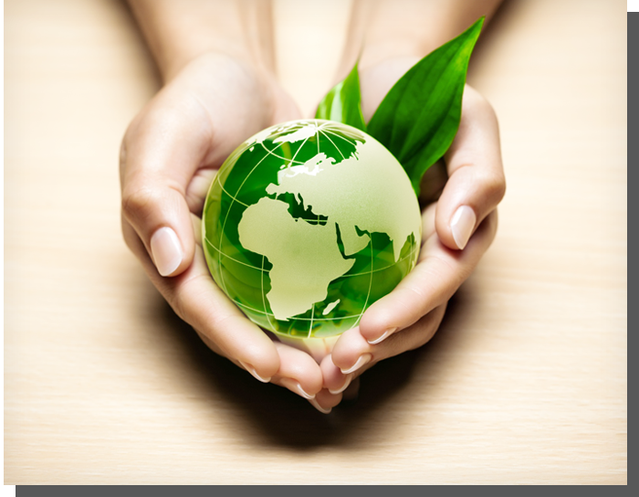 Cupped hands holding a green glass globe with fresh leaves